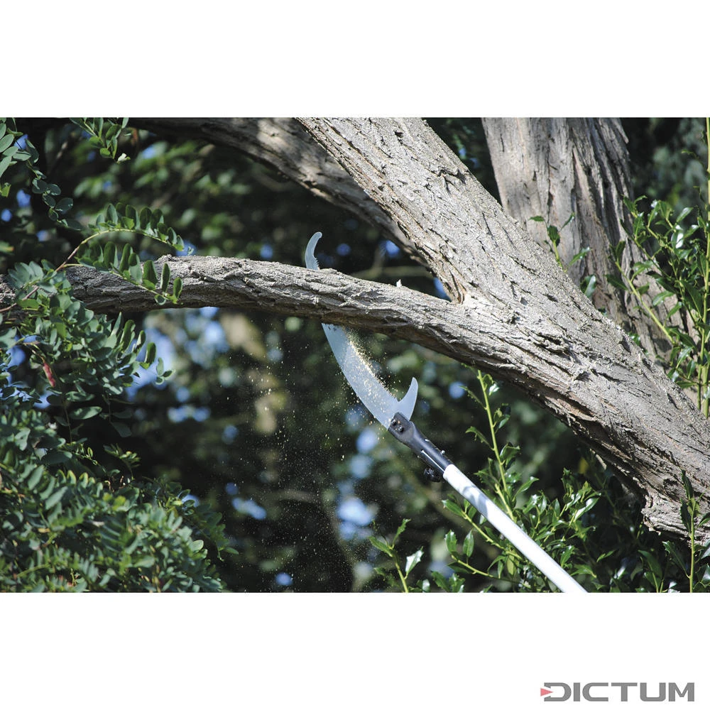 Scies Téléscopiques Professionnelles Silky Hayauchi 390, Trois Pièces 2 Scies Téléscopiques Professionnelles Silky Hayauchi 390, Trois Pièces – Image 2