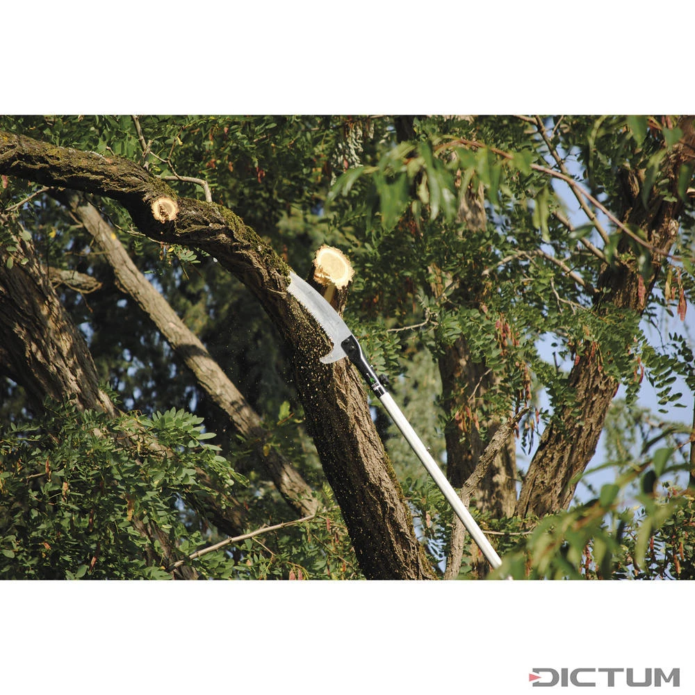 Scies Téléscopiques Professionnelles Silky Hayauchi 390, Trois Pièces 3 Scies Téléscopiques Professionnelles Silky Hayauchi 390, Trois Pièces – Image 3