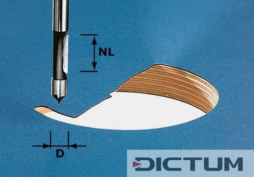 Festool Fraise De Perçage HW S8 D8/19